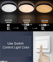 Philips CL514 LED Tunable Ceiling Light Silver Brown Edge 24W/36W Warm - Warm White - Cool Daylight-DWHOME